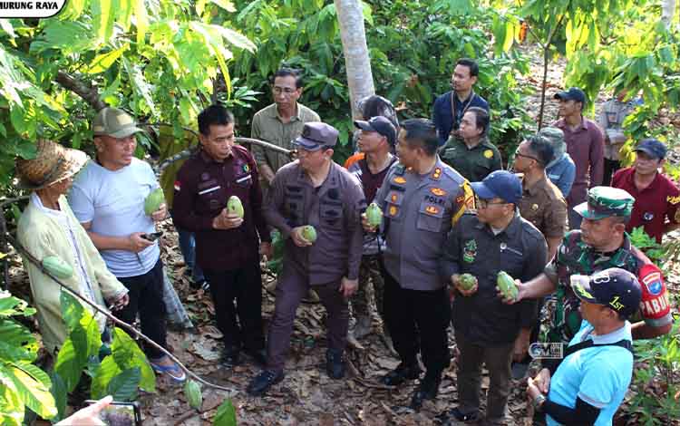 Sugianto Sabran Dukung Pengembangan Kakao di Murung Raya, Janji Beri Bantuan Pupuk