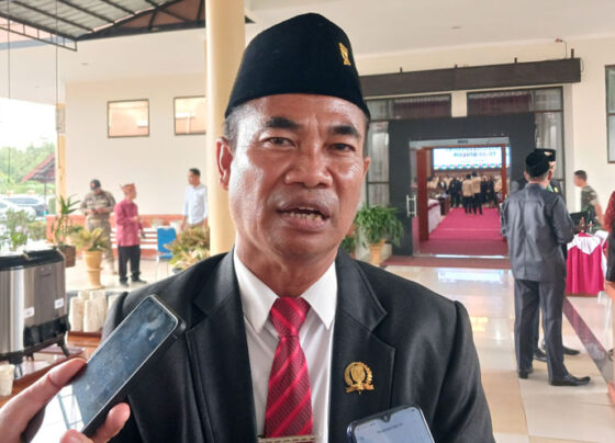 Ketua DPRD Kabupaten Katingan, Marwan Susanto.