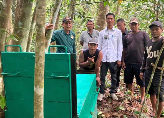 Komandan BKSDA Resort Sampit Muriansyah dibantu warga Desa Rawa Sari memasang perangkap beruang, Rabu, 16 Oktober 2024.