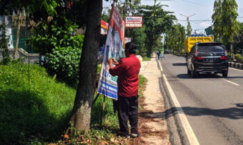 Petugas saat menertibkan APK paslon pilkada di Jalan HM Arsyad, Sampit. Karena menyalahi aturan, yakni memasang di pohon, Rabu, 30 Oktober 2024.