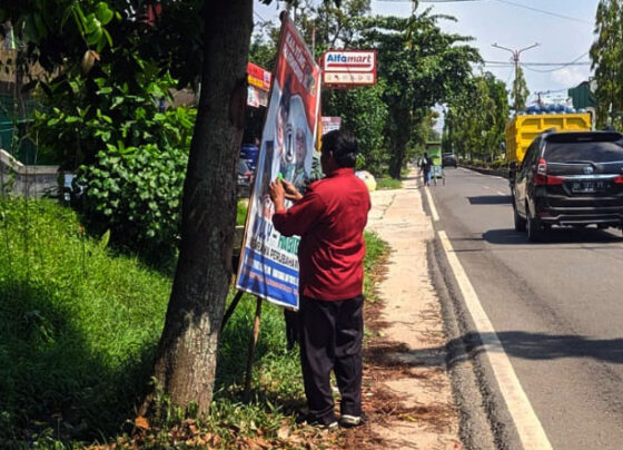 Petugas saat menertibkan APK paslon pilkada di Jalan HM Arsyad, Sampit. Karena menyalahi aturan, yakni memasang di pohon, Rabu, 30 Oktober 2024.