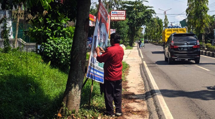 Petugas saat menertibkan APK paslon pilkada di Jalan HM Arsyad, Sampit. Karena menyalahi aturan, yakni memasang di pohon, Rabu, 30 Oktober 2024.