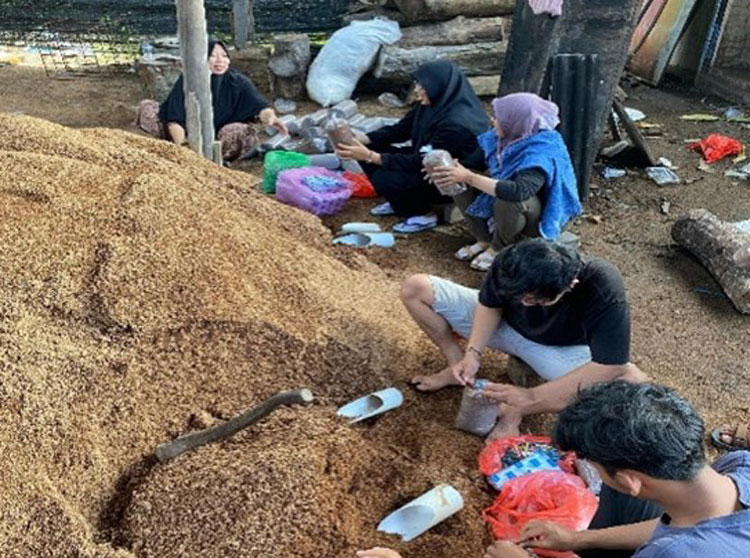Dari Bapeang untuk Indonesia, UMKM Borneo Mushroom Dapat Pendampingan dari STIE Sampit