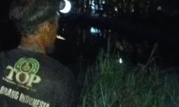 Seorang warga menggunakan senter saat mencari korban serangan buaya di Sungai Desa Parebok, Kecamatan Teluk Sampit, Kotim, Senin, 21 Oktober 2024.