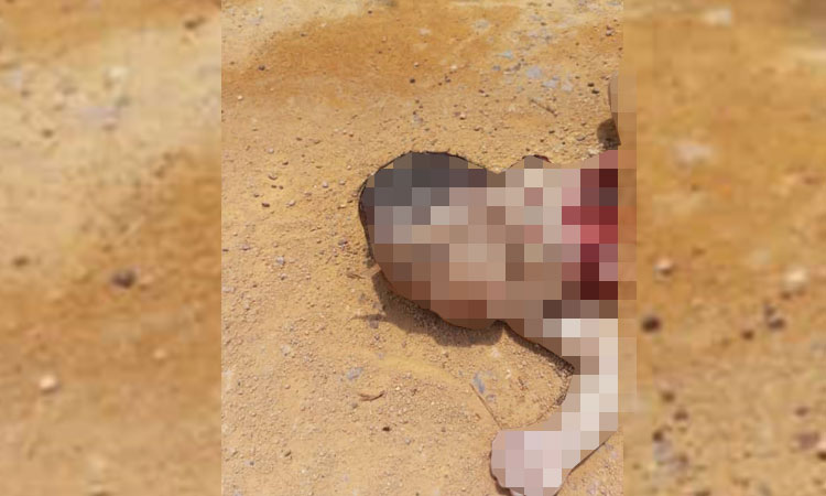 Penemuan Jasad Bayi dengan Luka Menganga di Perut Mengguncang Kuala Kuayan