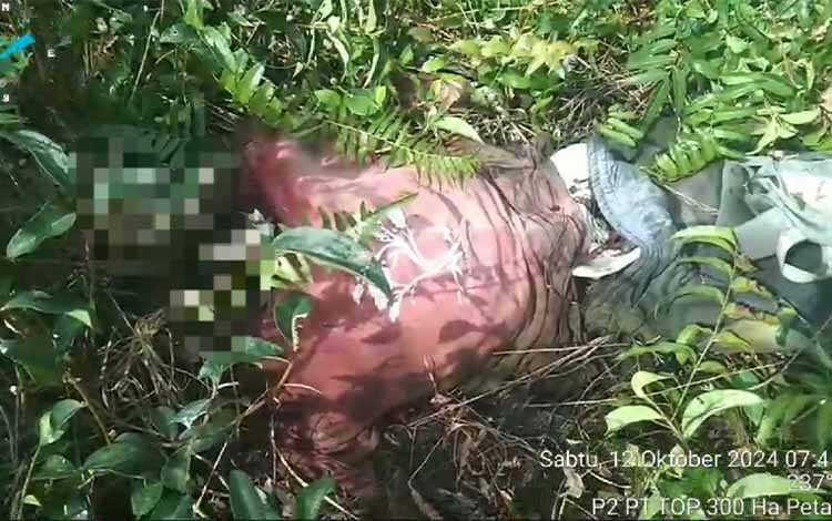 Polda Kalteng Selidiki Temuan Tengkorak Diduga Mahasiswa ULM yang Hilang