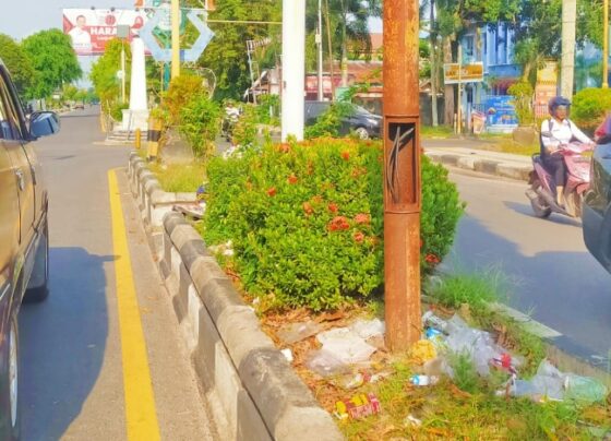 Tumpukan sampah bekas minuman, kue, dan makanan ringan terlihat di median Jalan A Yani, Sampit, Kabupaten Kotim, Rabu, 30 Oktober 2024.