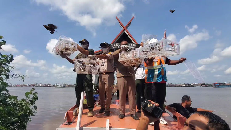 Upaya Penyelundupan Burung Langka di Sampit Digagalkan