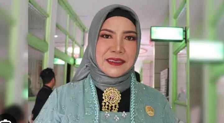 Anggota DPRD Katingan dari Partai PKB, Realita