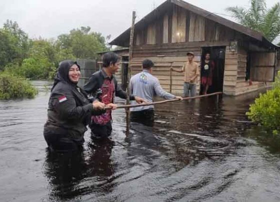 Kades Sei Ubar Mandiri saat mendampingi Wakil Bupati Kotim saat mengecek keadaan masyarakat yang terkena musibah banjir, Kamis, 28 November 2024