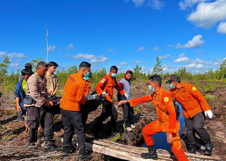 Diduga Disengat Lebah, Warga Kereng Bangkirai Tewas