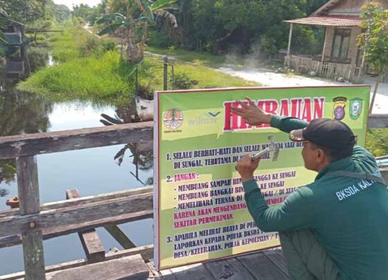 Komandan BKSDA Resor Sampit Muriansyah memasang spanduk imbauan waspada buaya.