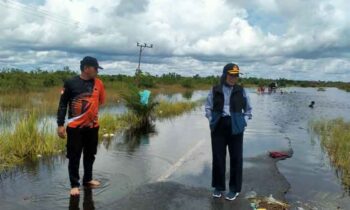 Penjabat Wali Kota Palangka Raya, Hera Nugrahayu mengecek kedalaman banjir di di Kelurahan Petuk Katimpun.