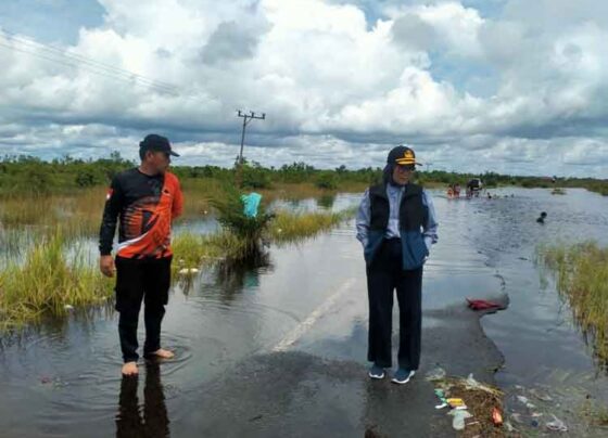 Penjabat Wali Kota Palangka Raya, Hera Nugrahayu mengecek kedalaman banjir di di Kelurahan Petuk Katimpun.