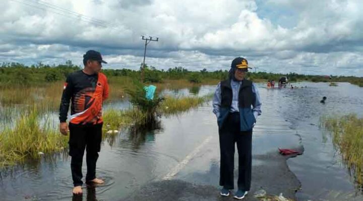 Penjabat Wali Kota Palangka Raya, Hera Nugrahayu mengecek kedalaman banjir di di Kelurahan Petuk Katimpun.