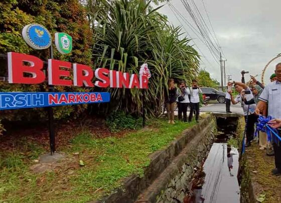 Peresmian branding Kotim Bersinar di Jalan Tjilik Riwut, Sampit, Rabu, 24 April 2024.