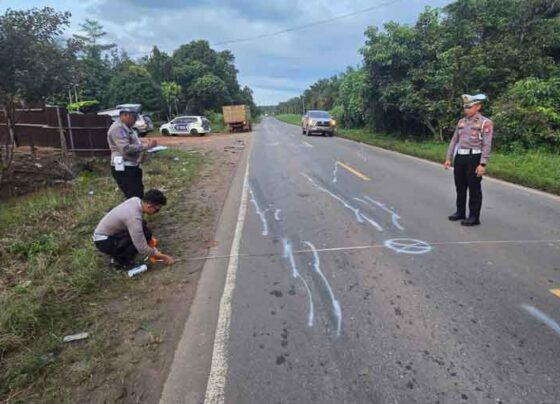 Petugas Satlantas Polres Kotim saat melakukan identifikasi di lokasi kecelakaan di Jalan Jenderal Sudirman Kilometer 57 Sampit.