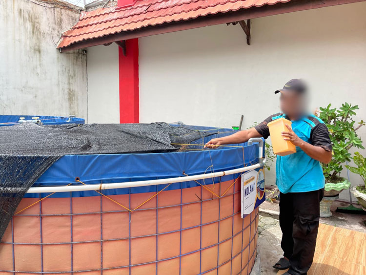 Inovasi di Balik Jeruji, Budidaya Bioflok Lapas Sampit untuk Kemandirian Warga Binaan