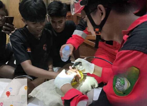 Proses evakuasi pelepasan cincin seorang pemuda di Kecamatan Mentawa Baru Ketapang, Sampit, Selasa, 29 Oktober 2024.