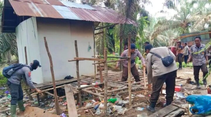 Salah satu pondok warga masyarakat Desa Satiung saat dibongkar oleh petugas PT KIU, September 2024.