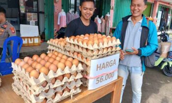 Salah seorang penjual telur ayam ras di Pasar Kasongan saat melayani pembeli, Jumat, 22 November 2024