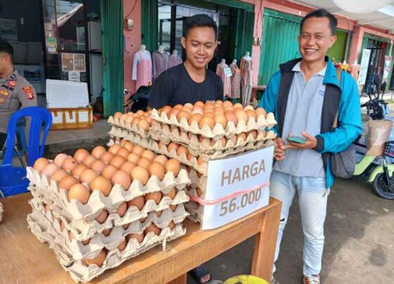 Salah seorang penjual telur ayam ras di Pasar Kasongan saat melayani pembeli, Jumat, 22 November 2024