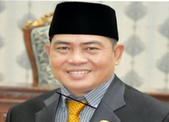 Wakil Ketua I DPRD Kabupaten Katingan, Nanang Suriansyah.