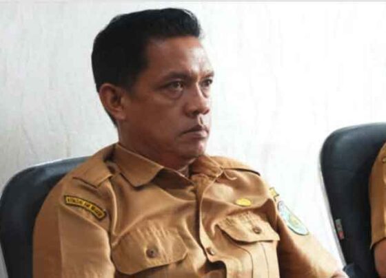 Kepala Diskominfo SP Palangka Raya, Saipullah.