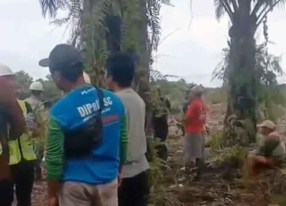 Pengecekan lahan yang akan dilakukan land clearing oleh PT BMW.