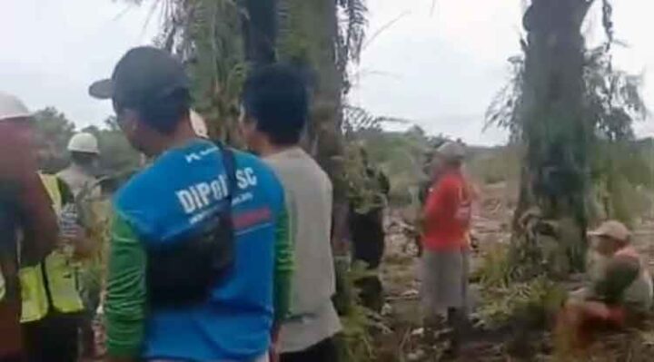 Pengecekan lahan yang akan dilakukan land clearing oleh PT BMW.