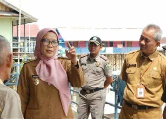 Pj Wali Kota Palangka Raya, Hera Nugrahayu saat meninjau kawasan Dermaga Rambang.