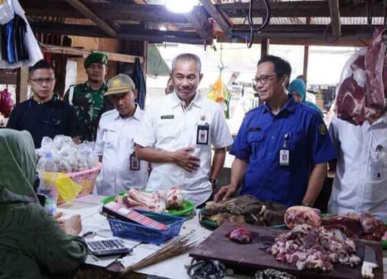 Satgas Pangan Palangka Raya saat melakukan sidak ke pasar.