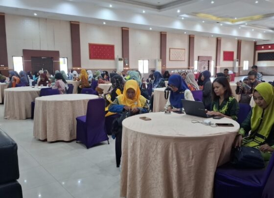 Sosialisasi Kesataraan Gender bagi guru PAUD se Kotawaringin Timur, di Werra Resort Sampit, Jumat, 13 Desember 2024.