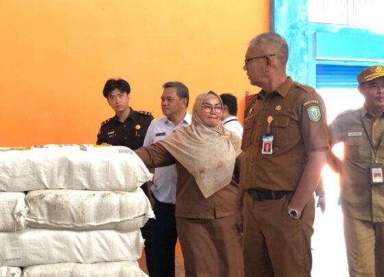 Wakil Bupati Kotim, Irawati didampingi Pj Sekda Kotim, Sanggul Lumban Gaol saat mengecek stok beras di gudang Bulog, Selasa, 24 Desember 2024.