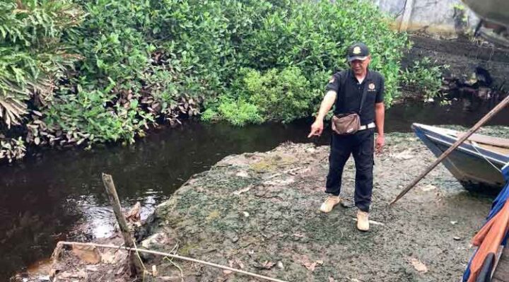 Kepala BKSDA Pos Sampit, Muriansyah saat mengecek kemunculan buaya di Sungai Mentawa