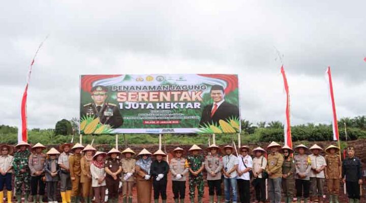 Penanaman jagung serentak yang dilakukan Kapolres Kotim bersama Forkopimda Kotim.