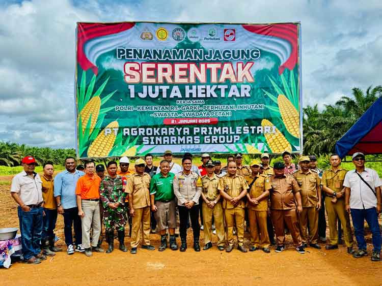 Dukung Program Nasional, Polsek Mentaya Hulu Tanam Jagung di Lahan 12,5 Hektare