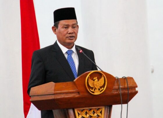 Bupati Seruyan, Ahmad Selanorwanda