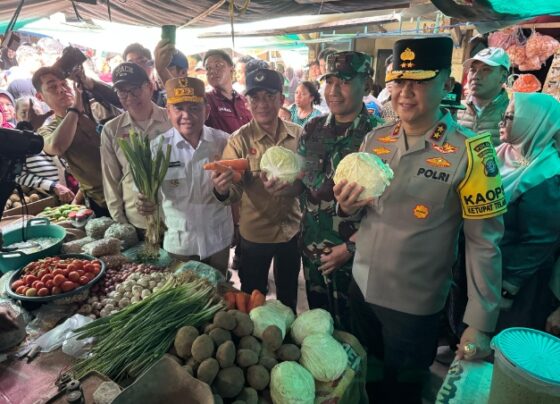 Gubernur Kalteng Agustiar Sabran saat memantau harga kebutuhan pokok di pasar tradisional di Sampit.