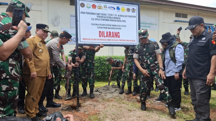 Dugaan Pelanggaran Lahan Sawit, 12 Ribu Hektare PT GAP di Kotim Disita