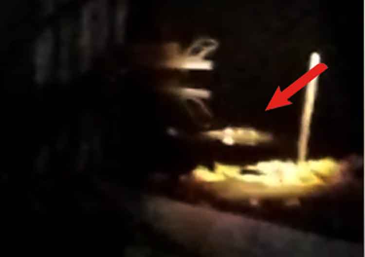 Tiga Buaya Teror Warga Palangan, Keberadaan Kandang Babi di Lanting Pemicunya