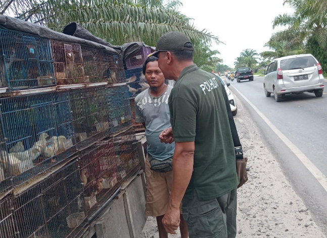 BKSDA Resort Sampit Temukan Anak Monyet Dijual di Pinggir Jalan, Penjual Diberi Pembinaan