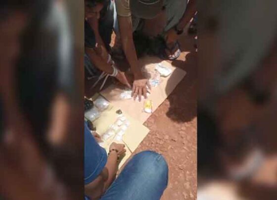 Penangkapan bandar narkoba oleh Polda Kalteng di Desa Bukit Raya, Kecamatan Cempaga Hulu, Kabupaten Kotawaringin Timur.