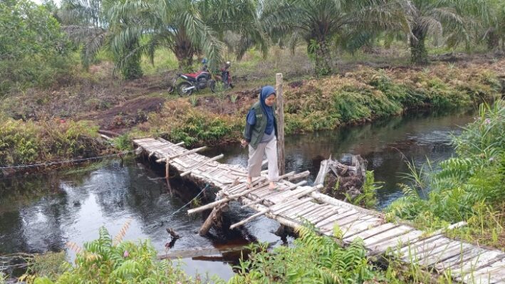 Petugas BKSDA Resort Sampit menuju pondok warga di salah satu perkebunan di Jalan Lingkar Kota Selatan tempat kemunculan dua individu orangutan.