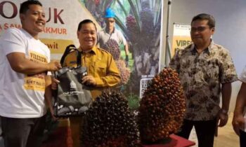 Bupati Kotim saat sambangi gerai penjualan bibit kelapa sawit.