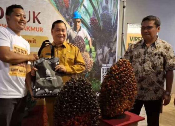 Bupati Kotim saat sambangi gerai penjualan bibit kelapa sawit.