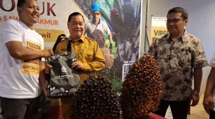 Bupati Kotim saat sambangi gerai penjualan bibit kelapa sawit.