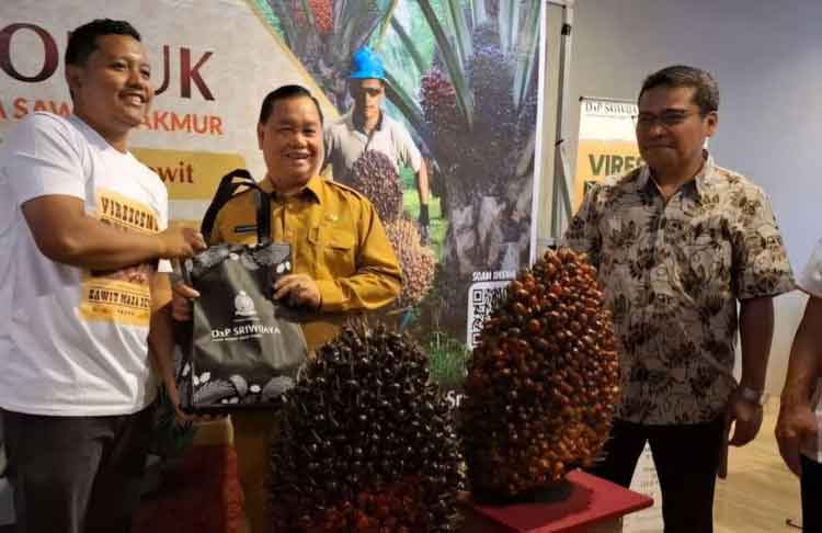 Halikinnor: Sawit Tak Bisa Asal Tanam, Benih Legal Jadi Kunci Produktivitas