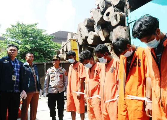 Ditkrimsus Polda Sumsel menggelar pers rilis kasus perdagangan kayu ilegal