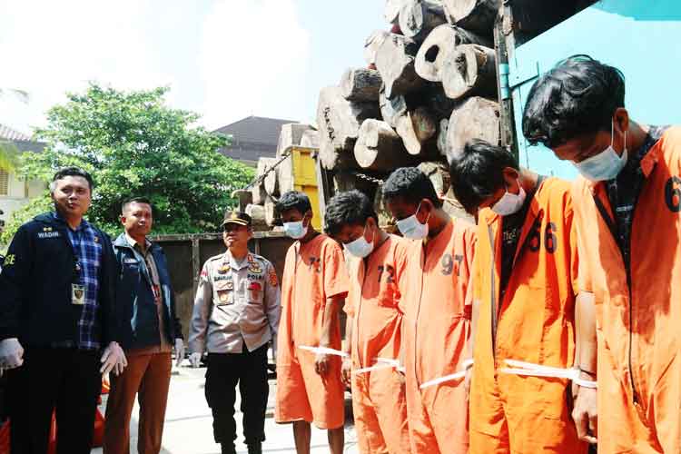 Kayu Ilegal dari Hutan Musi Banyuasin Pemilik Buron, Sopir Ditangkap